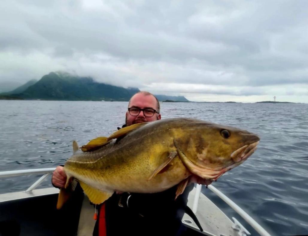 Lofoten And Vesteralen Kveldro Myrland Zewnętrze zdjęcie