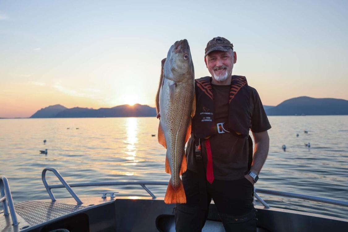 Lofoten And Vesteralen Kveldro Myrland Zewnętrze zdjęcie