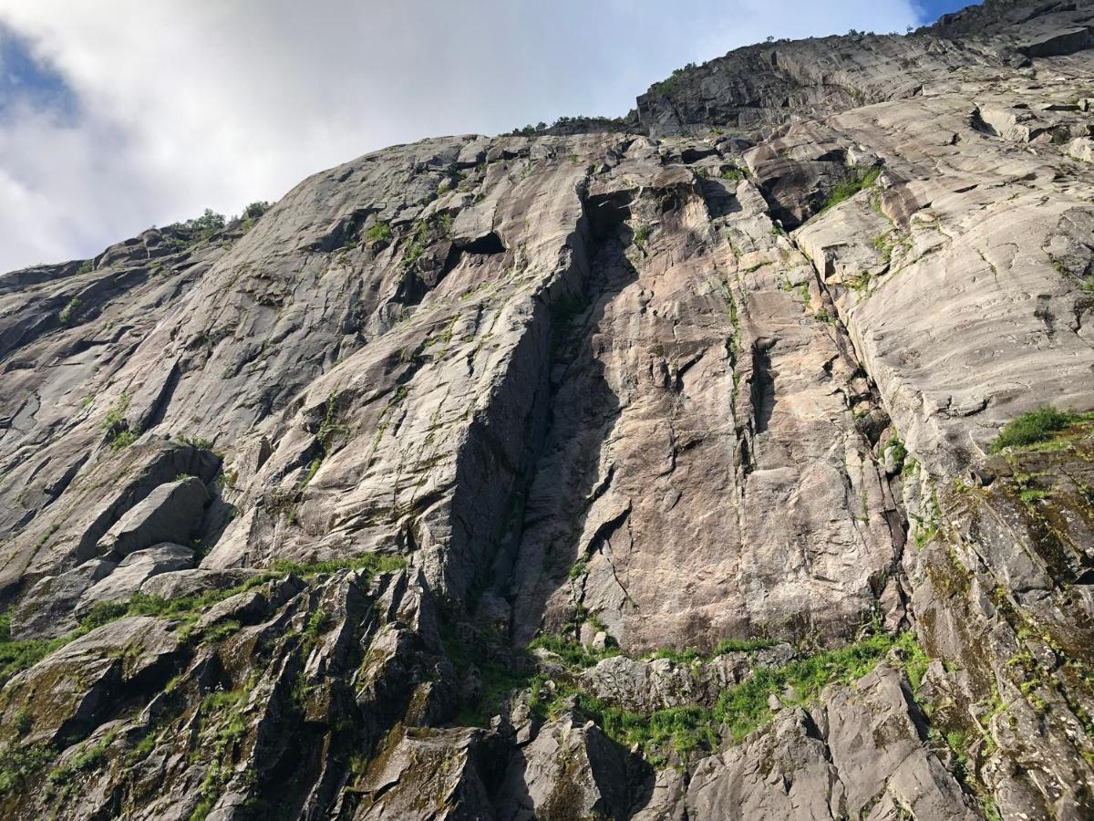 Lofoten And Vesteralen Kveldro Myrland Zewnętrze zdjęcie