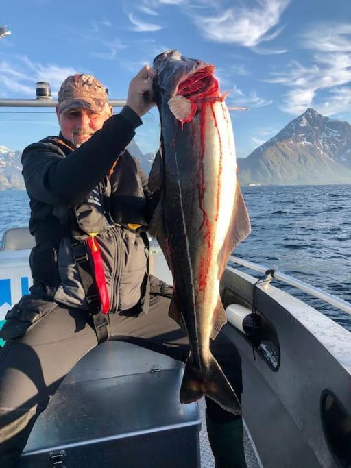 Lofoten And Vesteralen Kveldro Myrland Zewnętrze zdjęcie