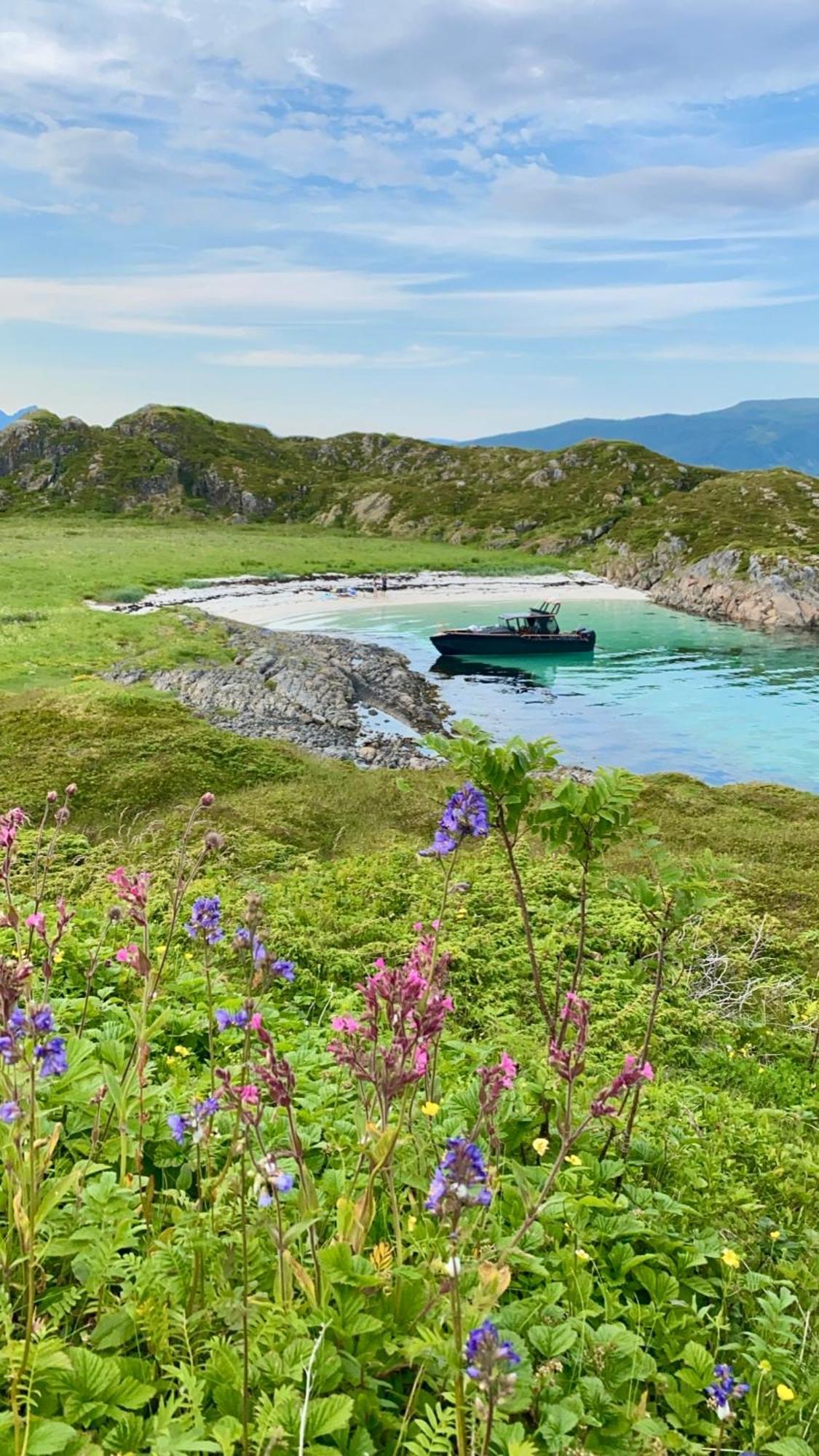 Lofoten And Vesteralen Kveldro Myrland Zewnętrze zdjęcie