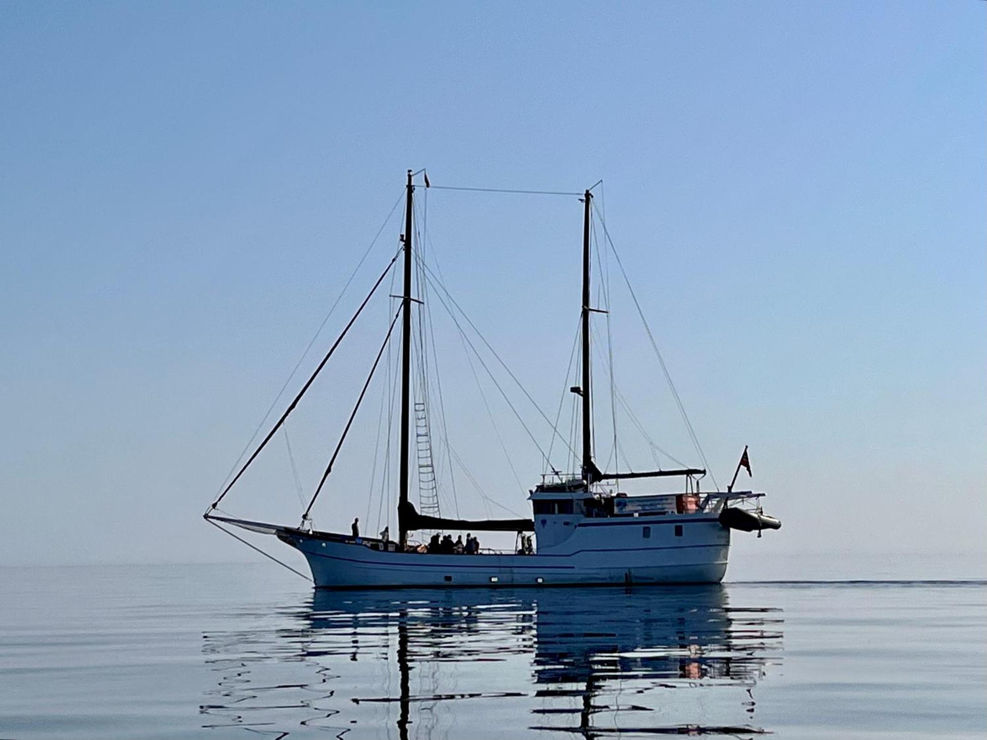 Lofoten And Vesteralen Kveldro Myrland Zewnętrze zdjęcie